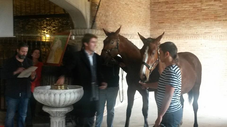 Bautismo de los potros de la Yeguada Haras del Sol ejerciendo de padrino Pablo Hermoso de Mendoza